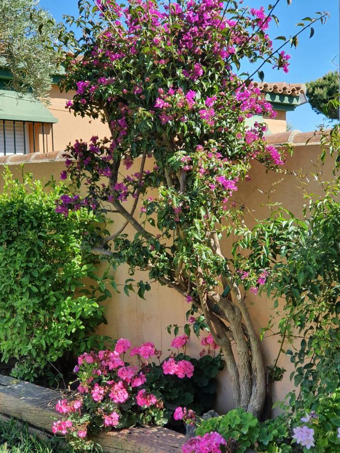 Villa Ostrero Chiclana de la Frontera Exterior foto